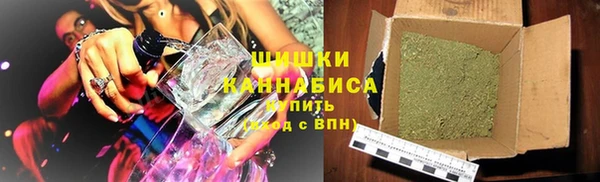 прущие грибы Богородск