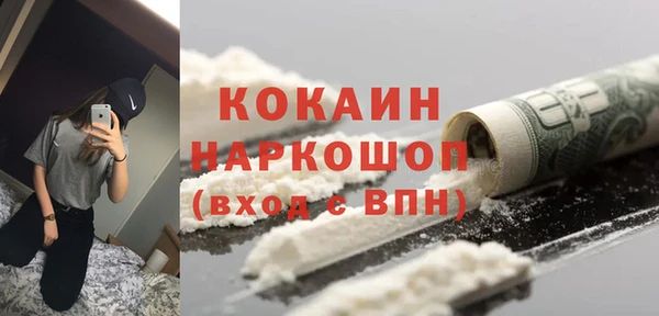 прущие грибы Богородск