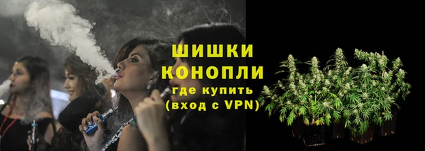 прущие грибы Богородск