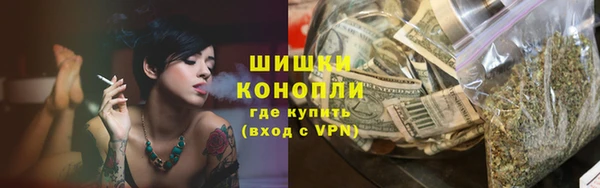прущие грибы Богородск