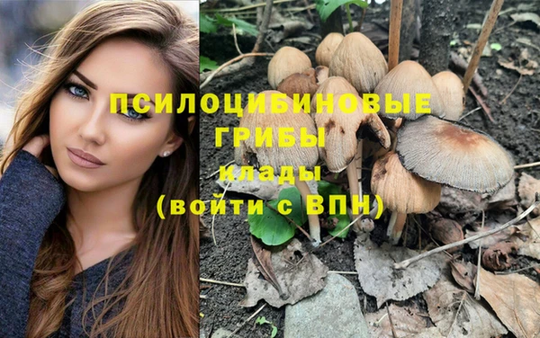 прущие грибы Богородск