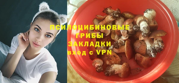 MDMA Богородицк