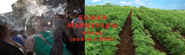 прущая мука Богданович