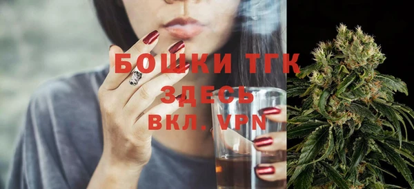 прущие грибы Богородск